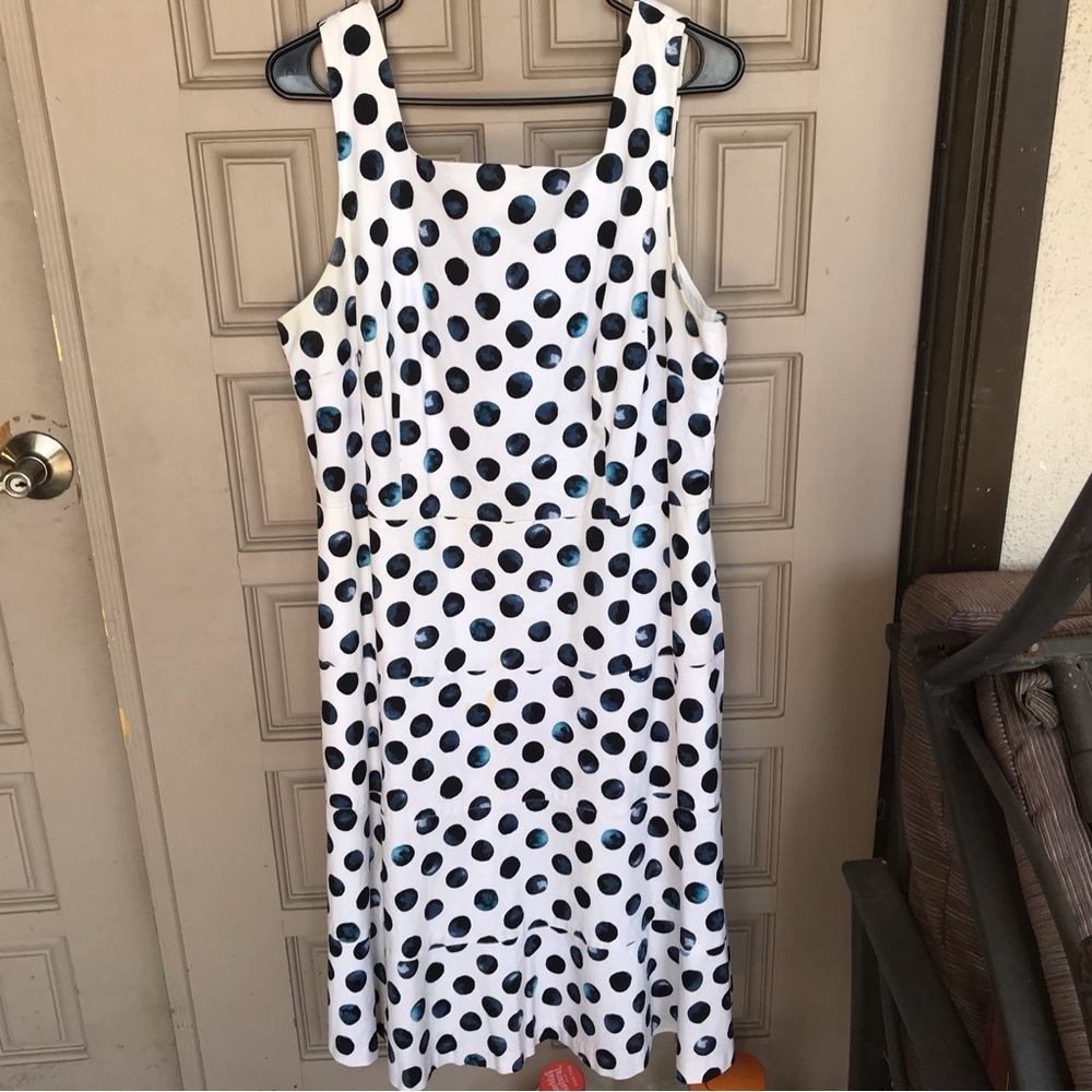 Talbots Plus Sz16 Dress Ruffle Hem Zip Back Cotton Wht/Blu Polka Dots Lined Qual